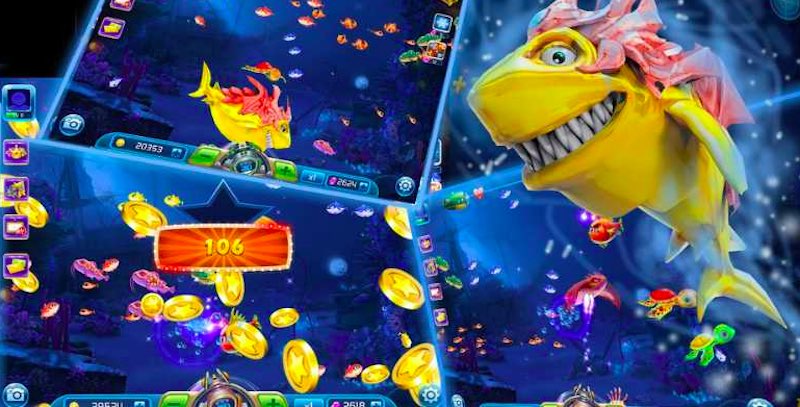 Tối ưu trải nghiệm: cài đặt, sự kiện và an toàn tài khoản