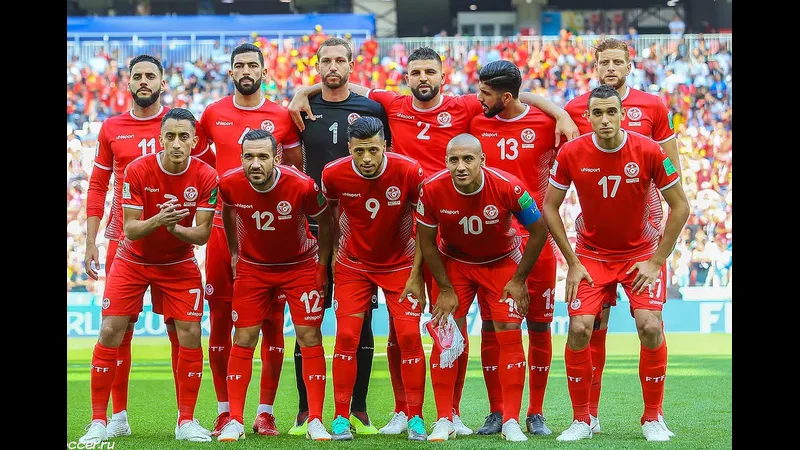 Cầu thủ Tunisia nỗ lực giành bóng từ cầu thủ Haiti.